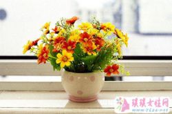 梦见塑料花假花