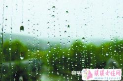 梦见梅雨