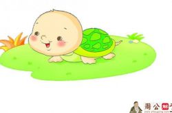 孕妇梦见乌龟