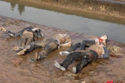 梦见别人挖死人