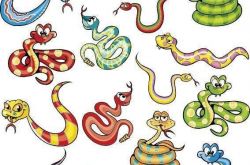 蛇 蛇蛇蛇