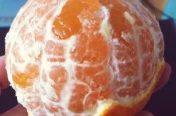 梦见吃丑橘是什么意思