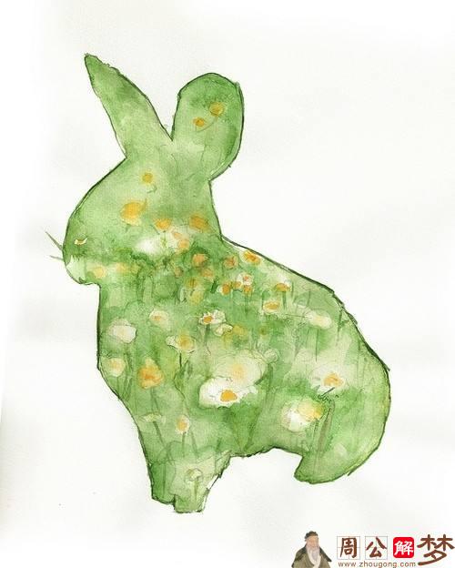 男人梦见绿色兔子