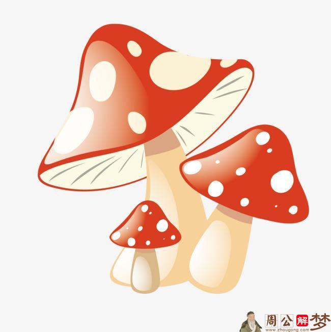 梦见地上长蘑菇