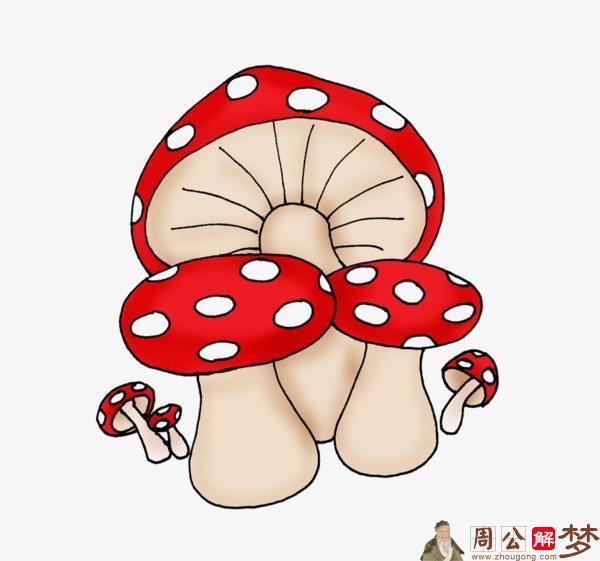 梦见捡了好多蘑菇