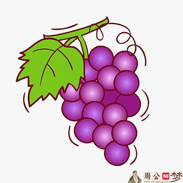 梦见大串成熟的葡萄