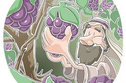 梦见吃紫葡萄