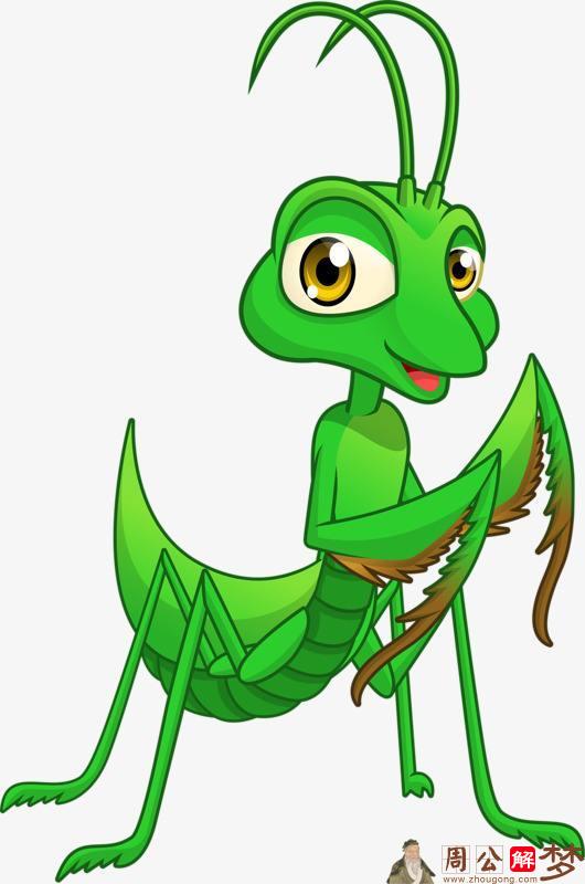 梦见一只绿色的螳螂
