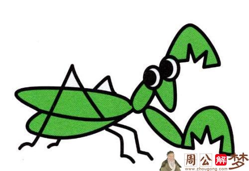 梦见一个绿色的大螳螂