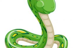 梦见一条绿色的蛇