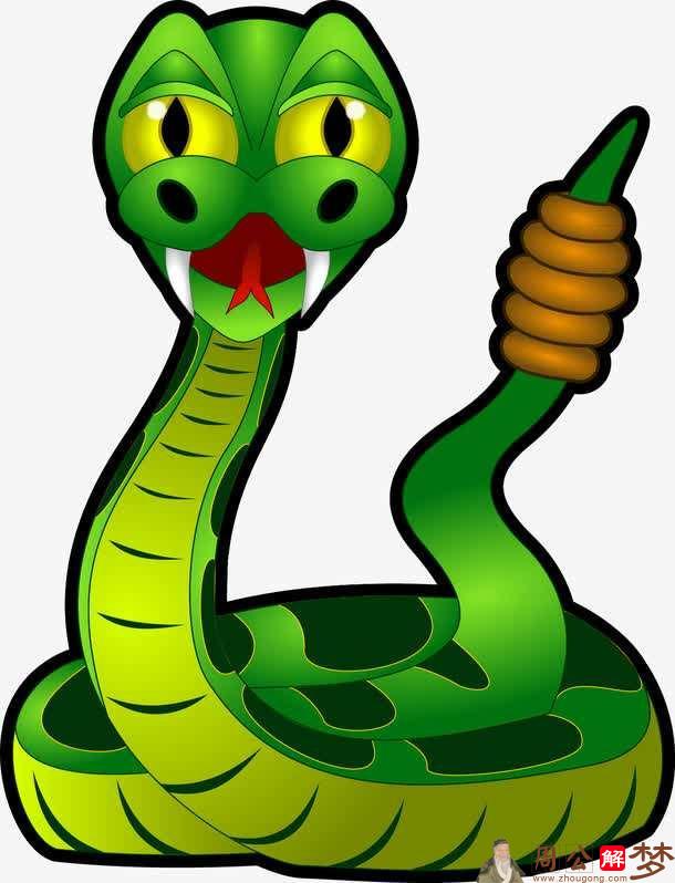 梦见一条绿色的大蟒蛇